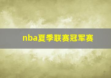 nba夏季联赛冠军赛