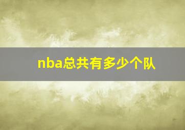 nba总共有多少个队