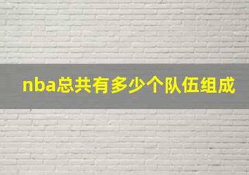 nba总共有多少个队伍组成