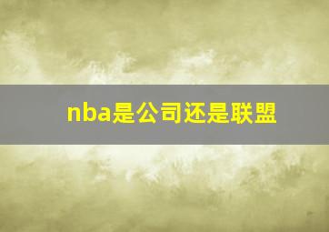 nba是公司还是联盟