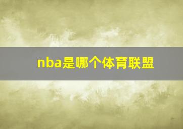 nba是哪个体育联盟