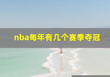 nba每年有几个赛季夺冠