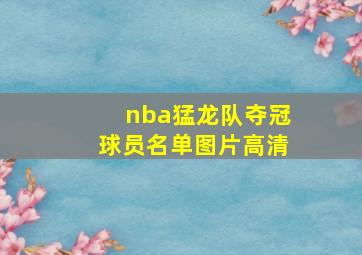 nba猛龙队夺冠球员名单图片高清