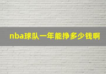 nba球队一年能挣多少钱啊