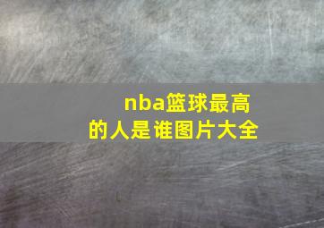 nba篮球最高的人是谁图片大全