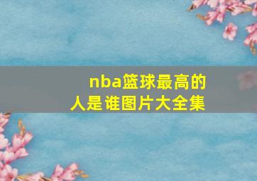 nba篮球最高的人是谁图片大全集