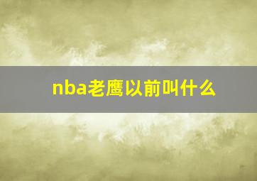 nba老鹰以前叫什么