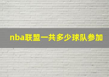 nba联盟一共多少球队参加