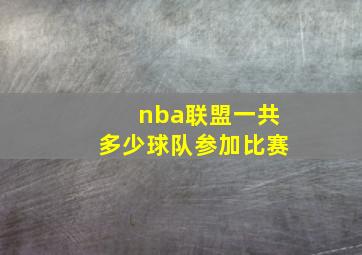 nba联盟一共多少球队参加比赛