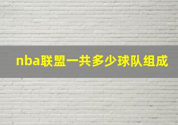 nba联盟一共多少球队组成