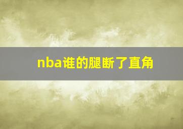 nba谁的腿断了直角