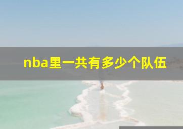 nba里一共有多少个队伍