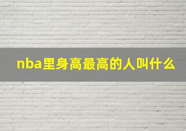 nba里身高最高的人叫什么