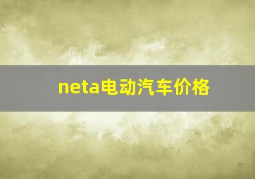 neta电动汽车价格