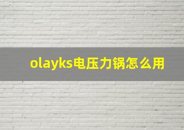 olayks电压力锅怎么用