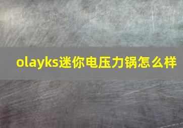 olayks迷你电压力锅怎么样