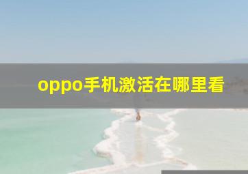 oppo手机激活在哪里看