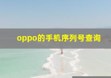 oppo的手机序列号查询