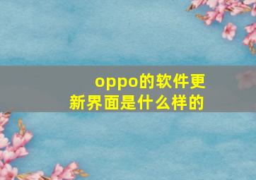 oppo的软件更新界面是什么样的