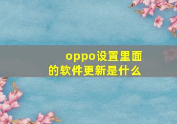 oppo设置里面的软件更新是什么