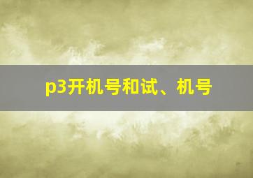 p3开机号和试、机号