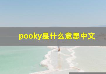 pooky是什么意思中文