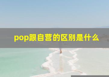 pop跟自营的区别是什么