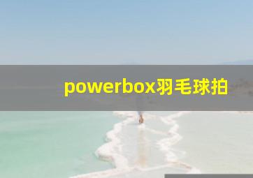 powerbox羽毛球拍