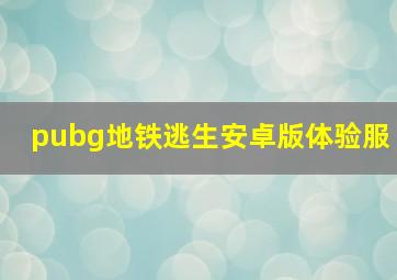 pubg地铁逃生安卓版体验服