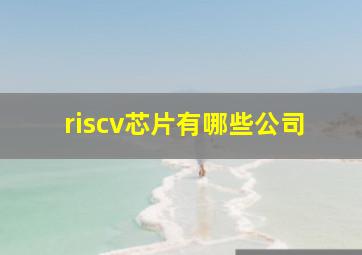 riscv芯片有哪些公司