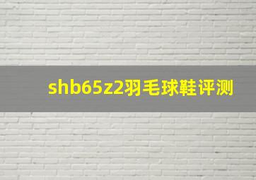 shb65z2羽毛球鞋评测