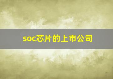 soc芯片的上市公司