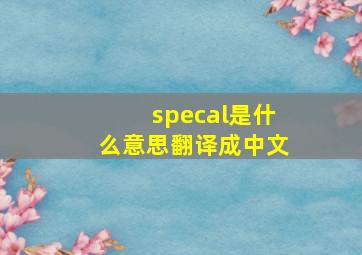 specal是什么意思翻译成中文