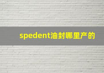 spedent油封哪里产的