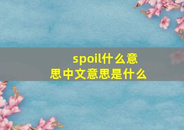 spoil什么意思中文意思是什么