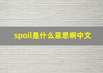 spoil是什么意思啊中文