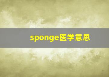 sponge医学意思