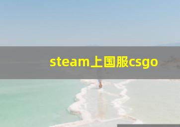 steam上国服csgo