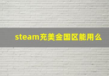 steam充美金国区能用么