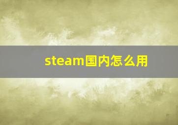 steam国内怎么用