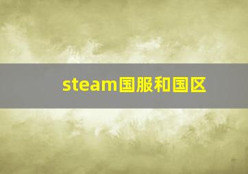 steam国服和国区