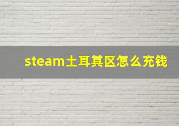 steam土耳其区怎么充钱