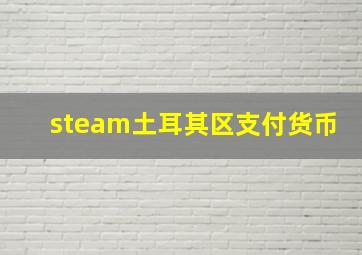 steam土耳其区支付货币