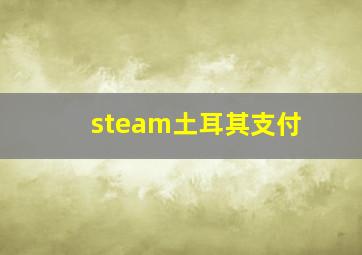 steam土耳其支付