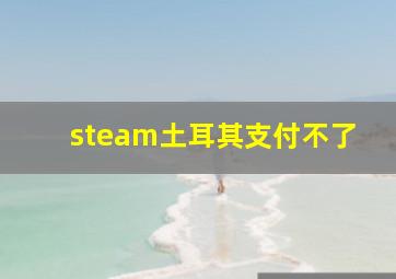 steam土耳其支付不了