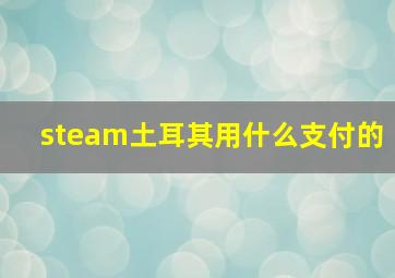 steam土耳其用什么支付的