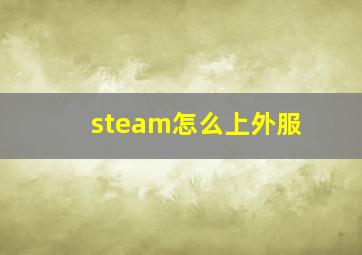 steam怎么上外服