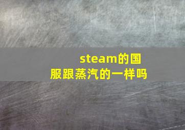 steam的国服跟蒸汽的一样吗