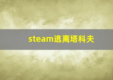 steam逃离塔科夫