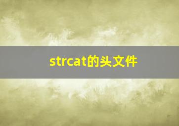 strcat的头文件